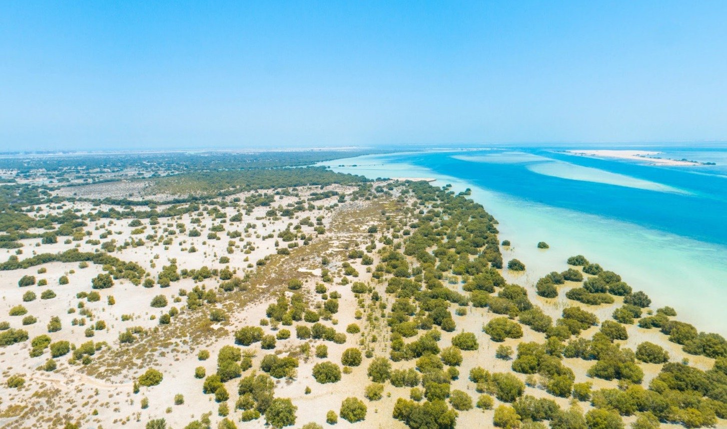 Saadiyat Shores Saadiyat Island Abu Dhabi ultra-luxury residential project with beachfront villas and modern apartments in prime location.